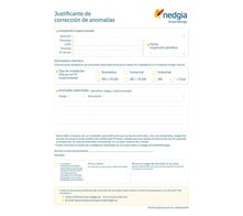JCA de Nedgia