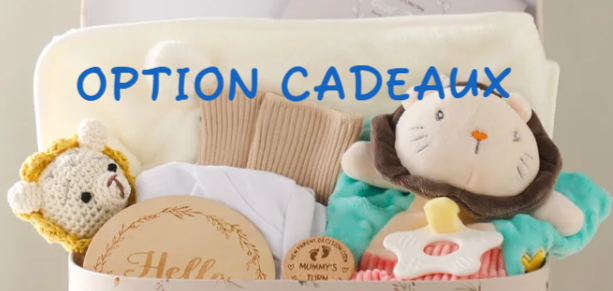 OPTION Gâteau et Couronne de couches