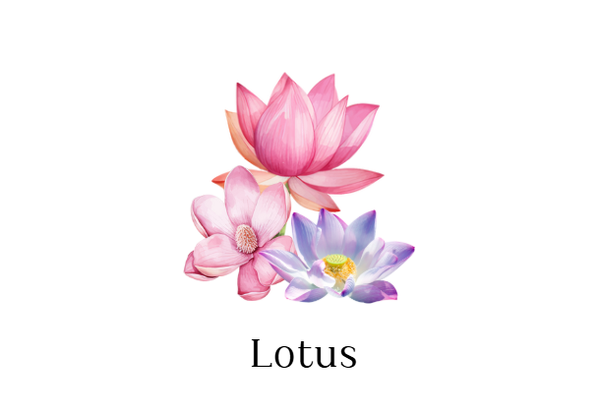 RecharG-Moi - 90 gr - LOTUS