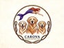 Carova Golden Retrievers