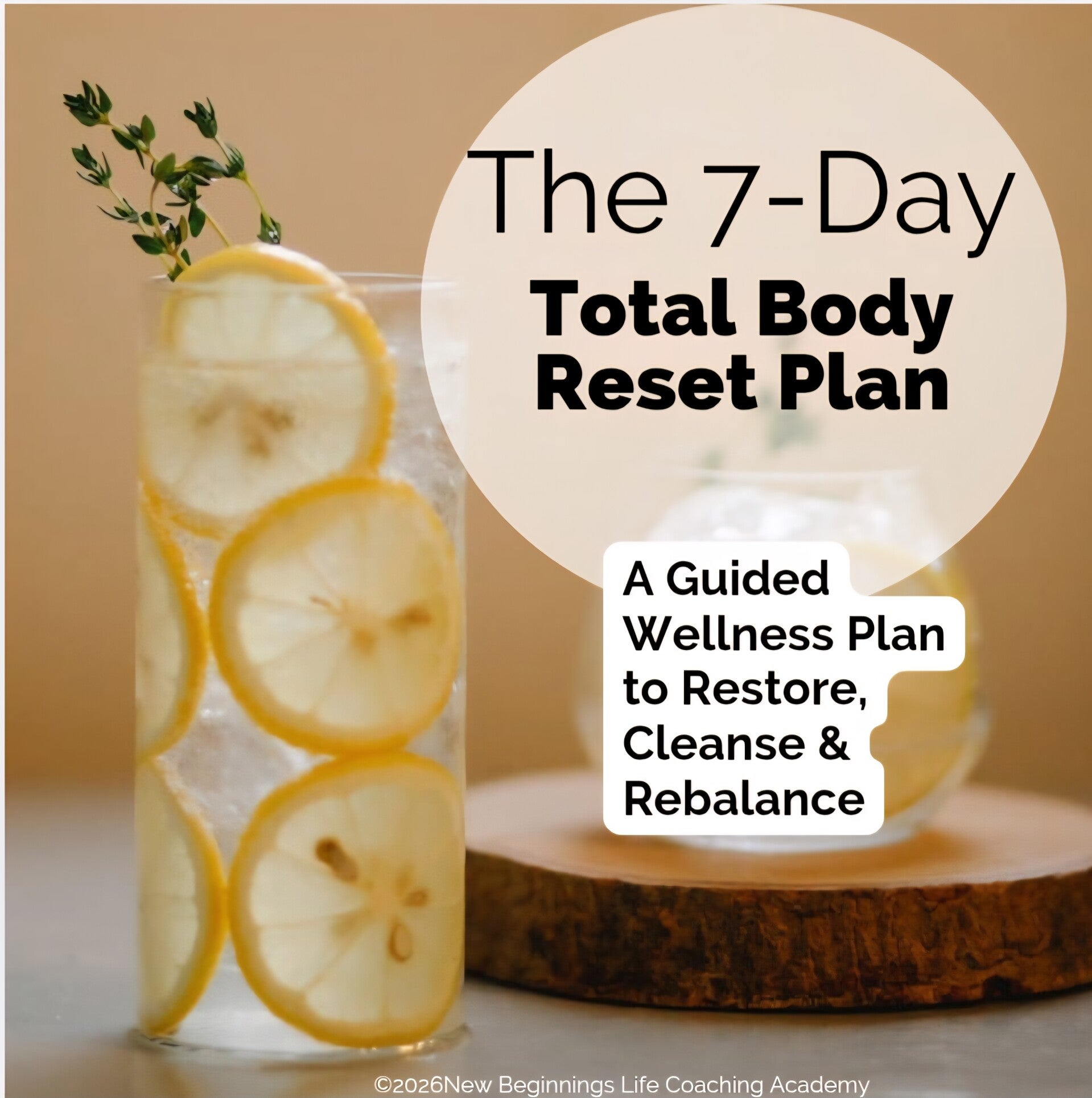 The 7-Day Total Body Reset Plan (+Reseller License)