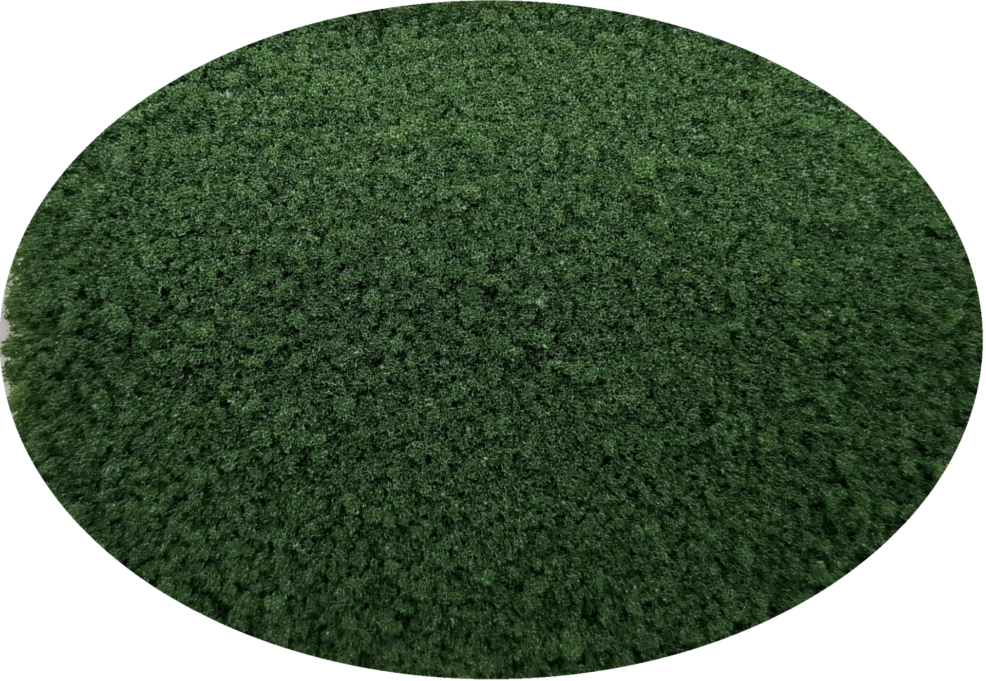 F04 Bevlokking Fijn Groen – Voor Realistische Details