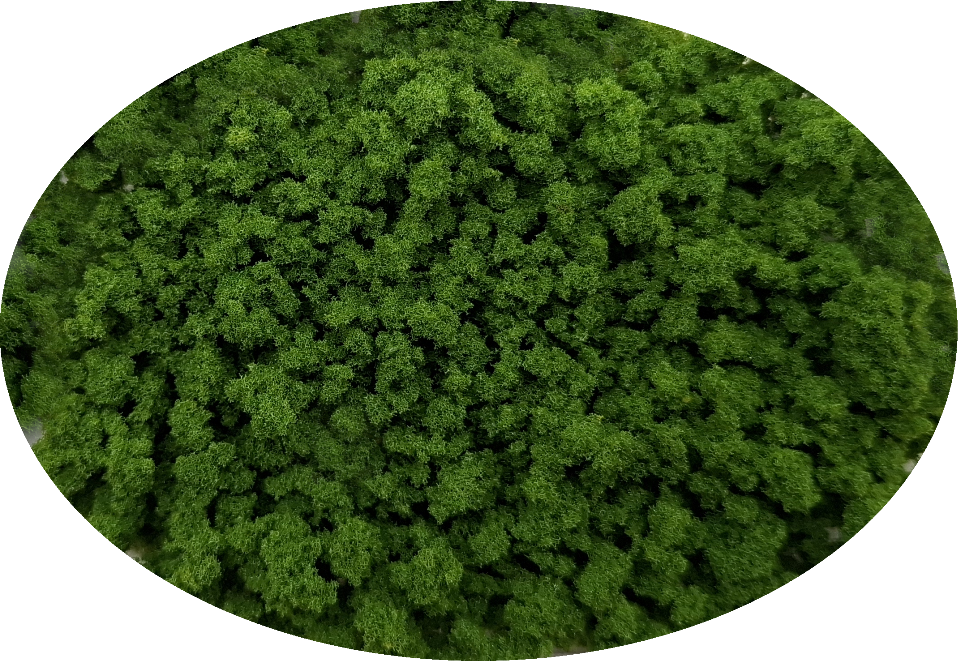 G02 Bevlokking groen grof