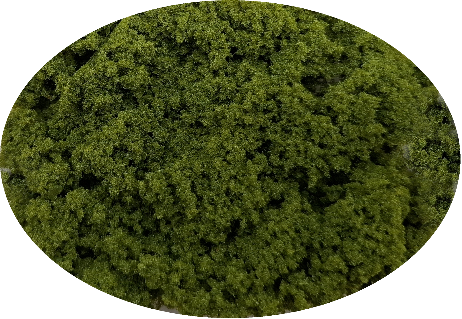 G03 Groene bevlokking Grof