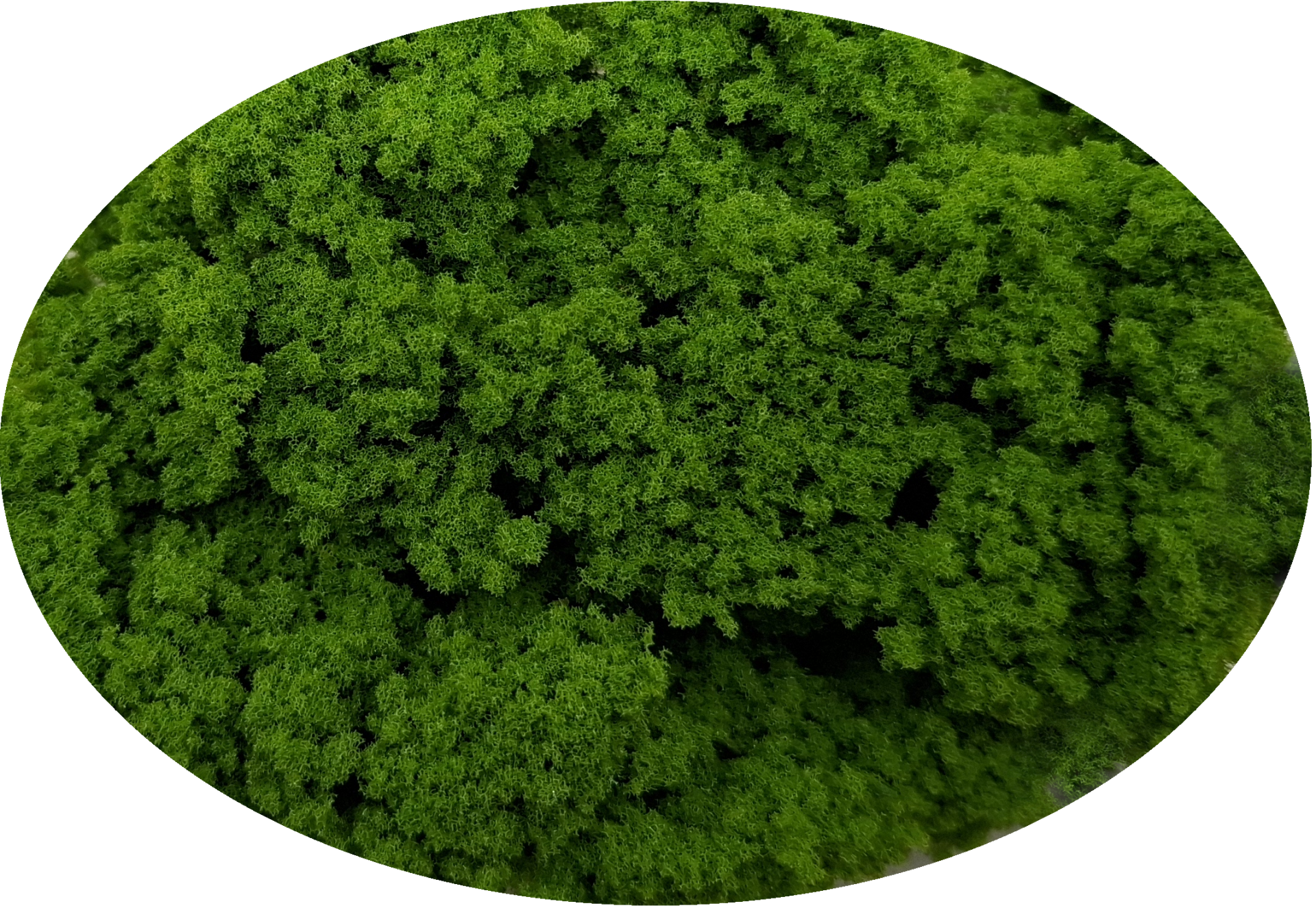 G05 Bevlokking groen grof