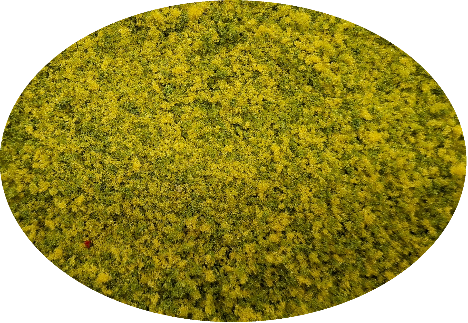 K01 Bevlokking Middelfijn Geel / Groen  Natuurlijke Mix