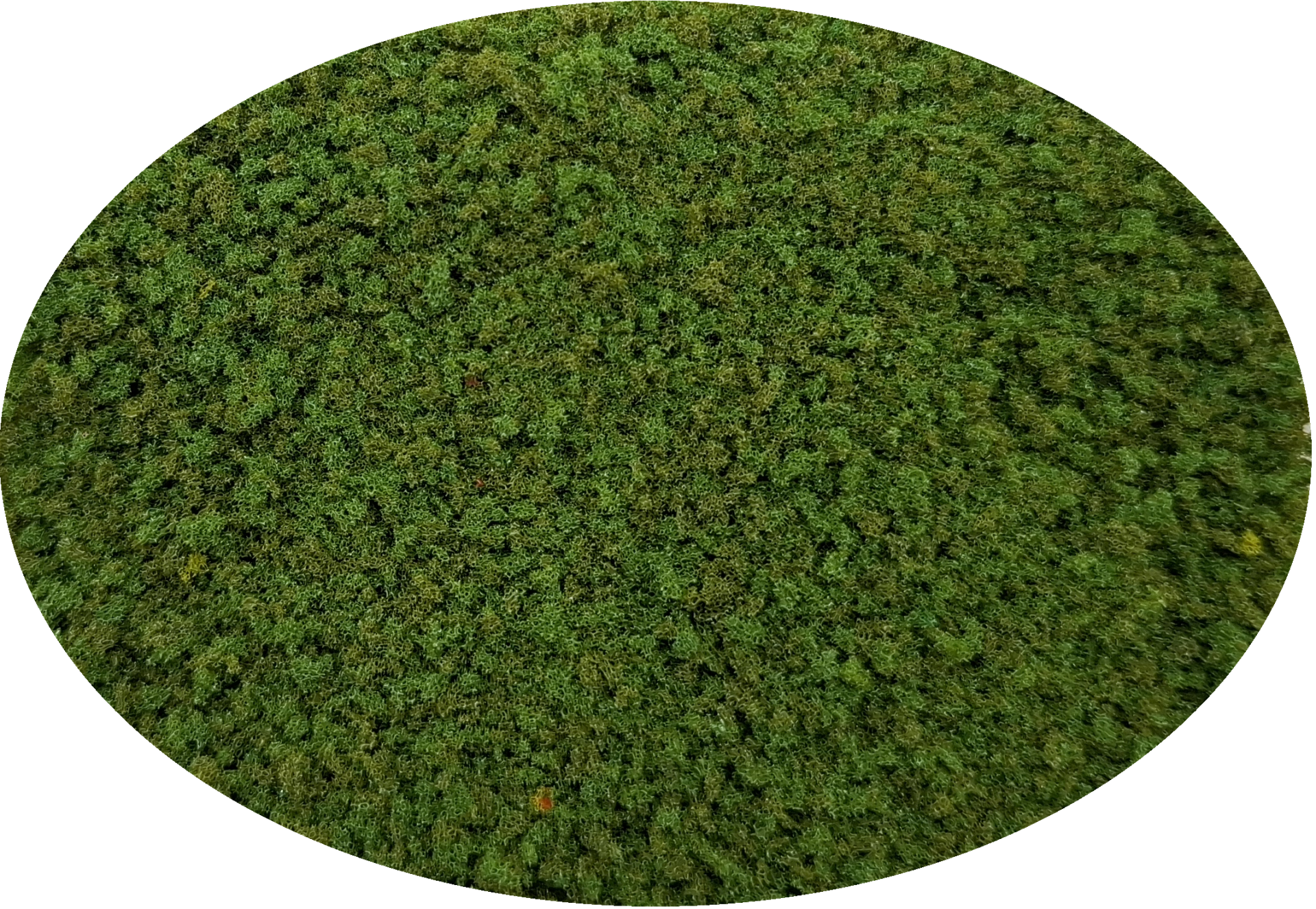 M01 Middel fijne groene bevlokking