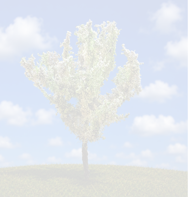 Witte Abeel