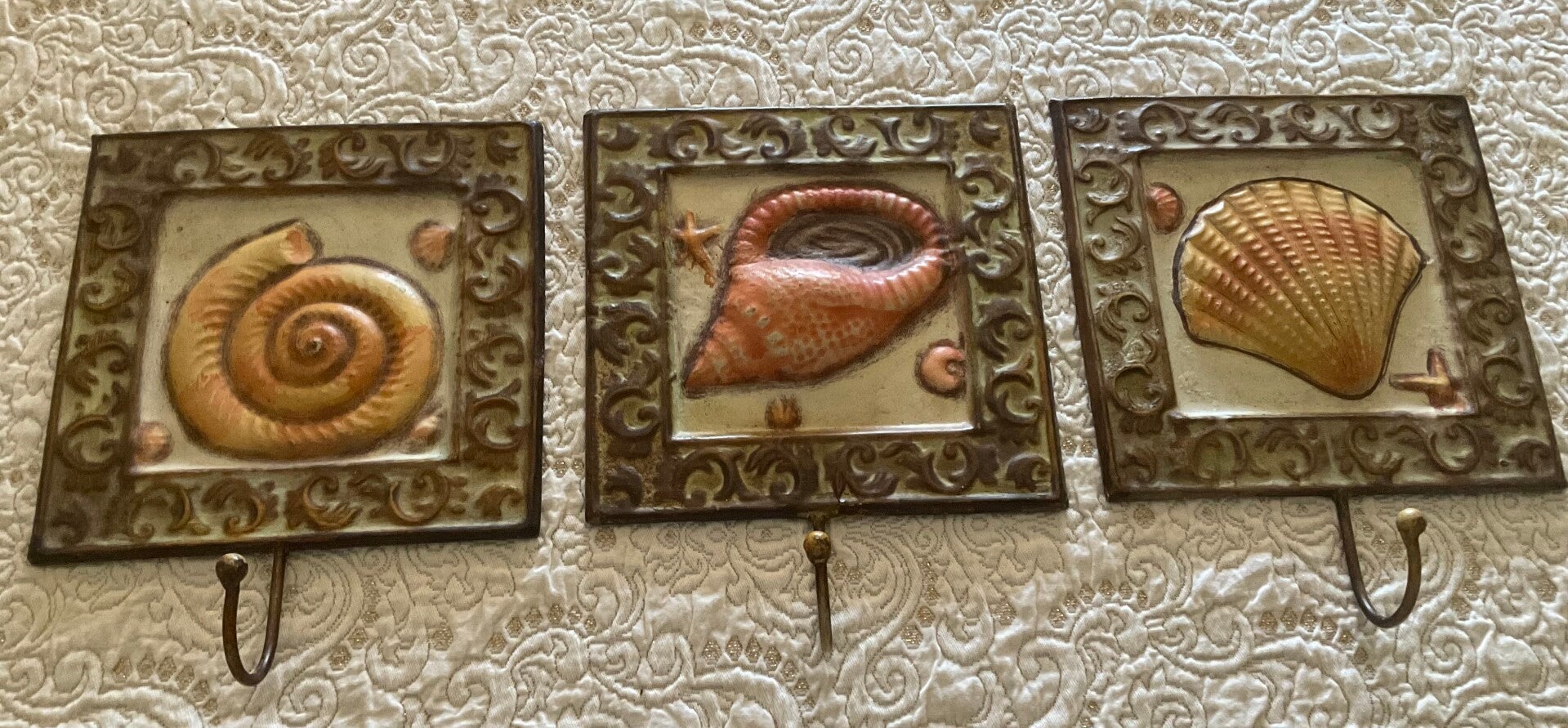 Colorful shell wall hooks