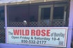 The Wild Rose