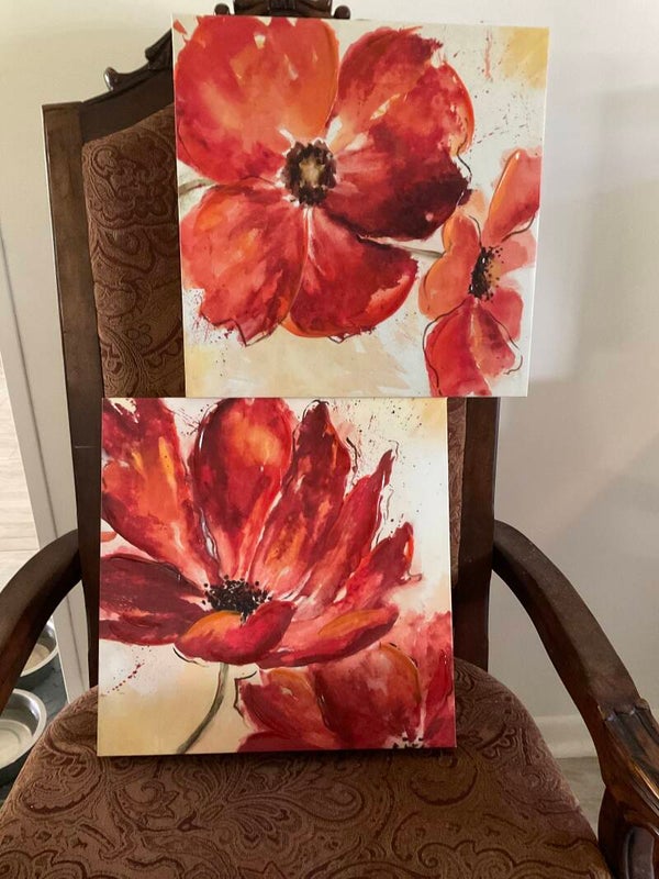 Poppy pics