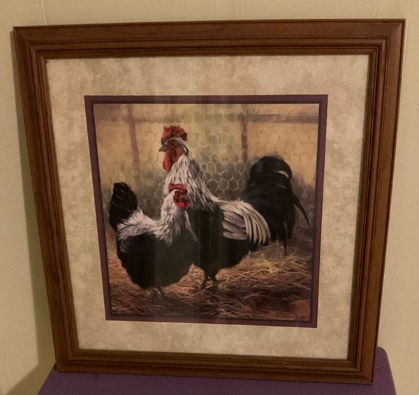 Classic rooster picture