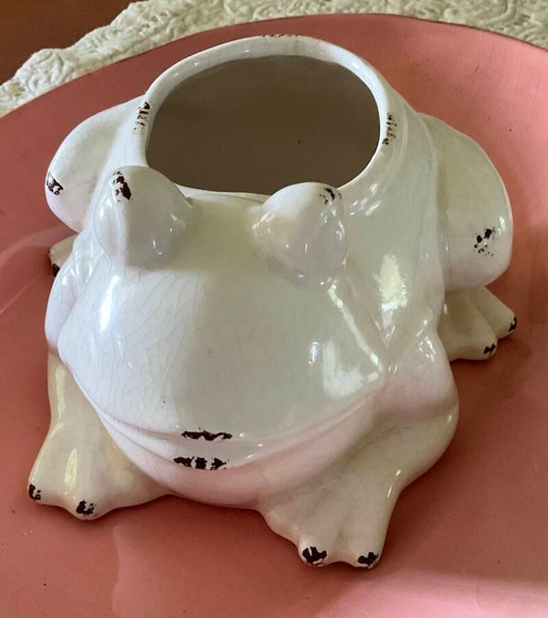 Frog planter