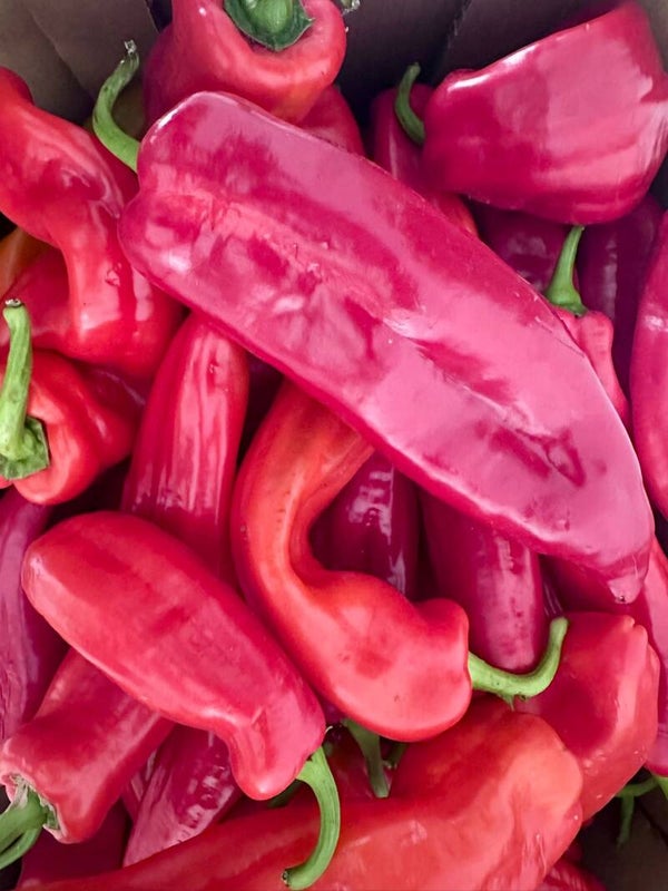 RED POINTED LONG PEPPER 500g