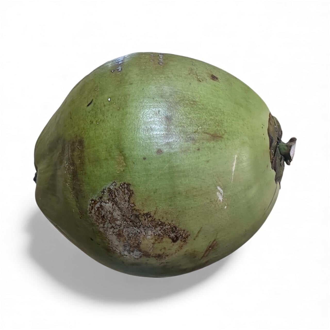 FRESH COCONUT