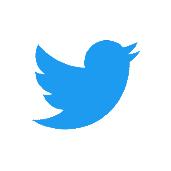 100 abonnés twitter
