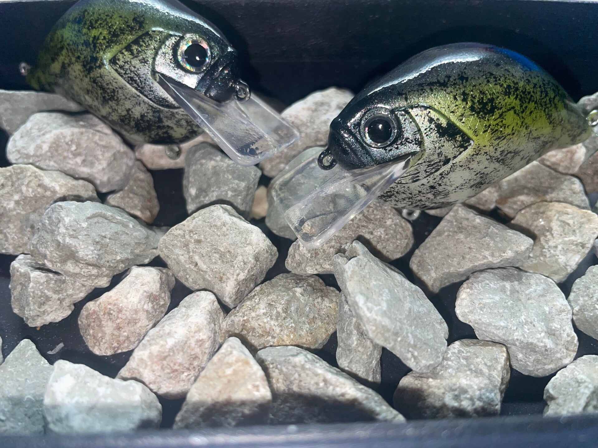 Baby Crappie
