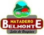 MATADERO DE BELMONTE