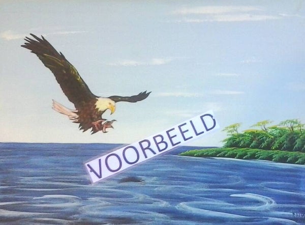 Zeearend