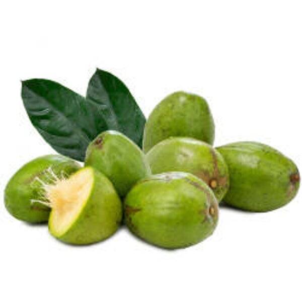 Dominicaanse Pomisitair