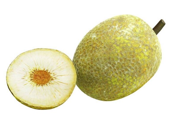 Broodvrucht
