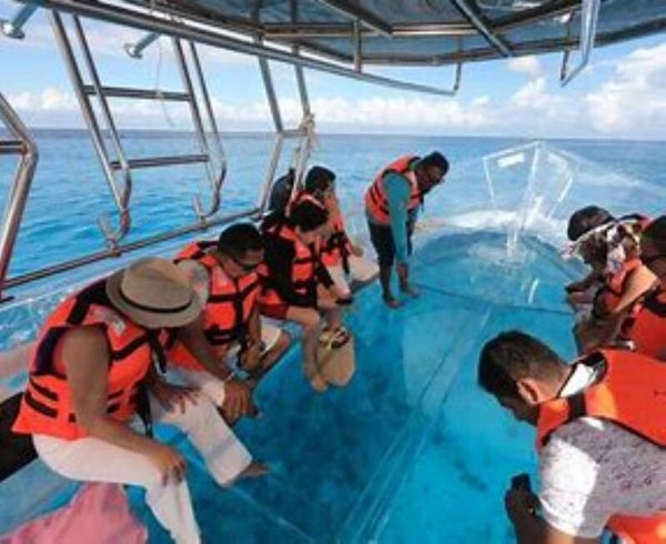 Tour de Snorkel en Lancha Transparente