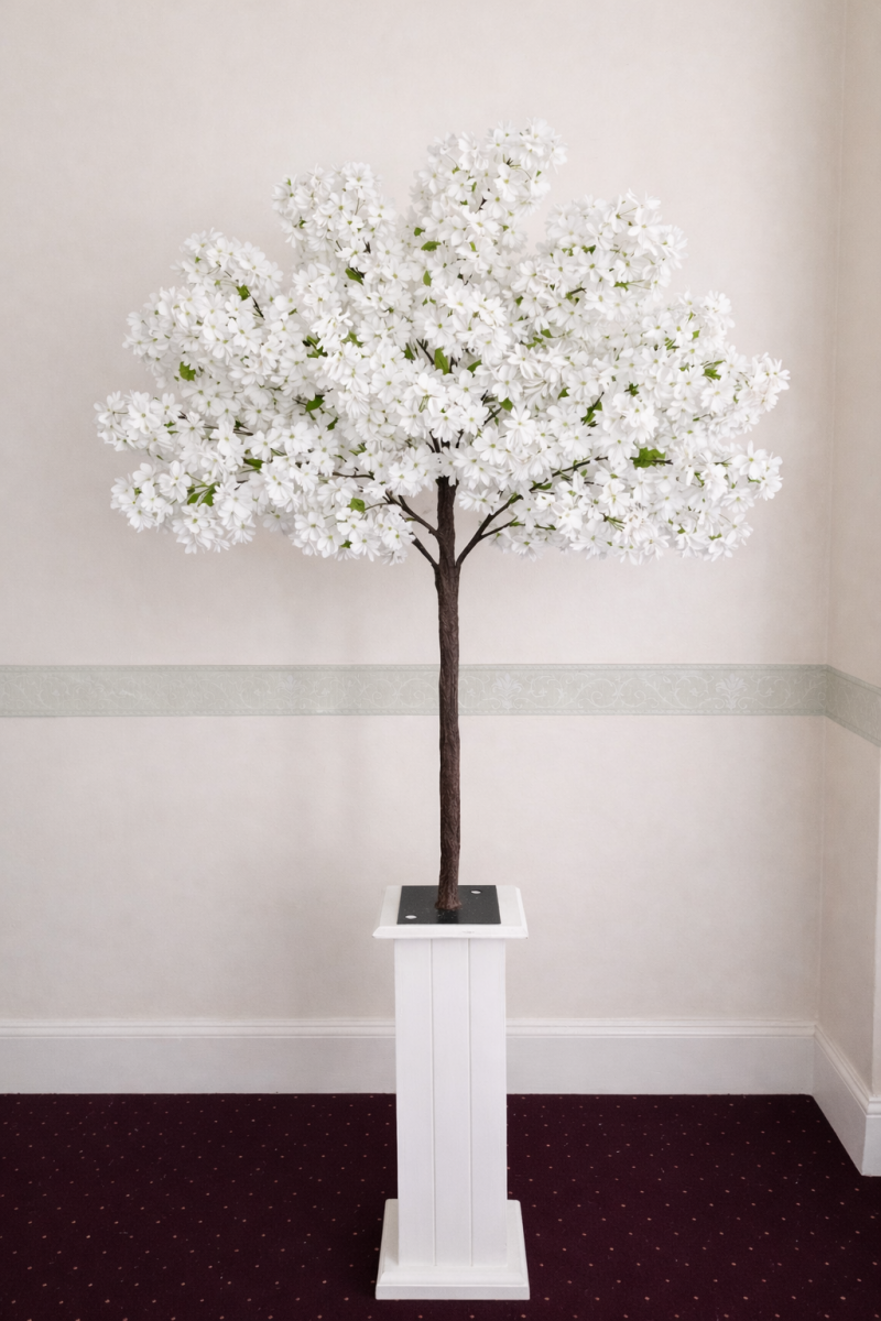 blossom-tree-white-plinth-standard-gkj0dc.png