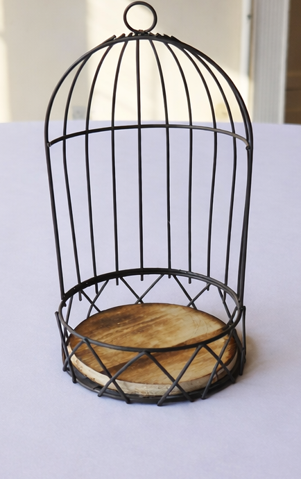 rustic-cage-standard.png