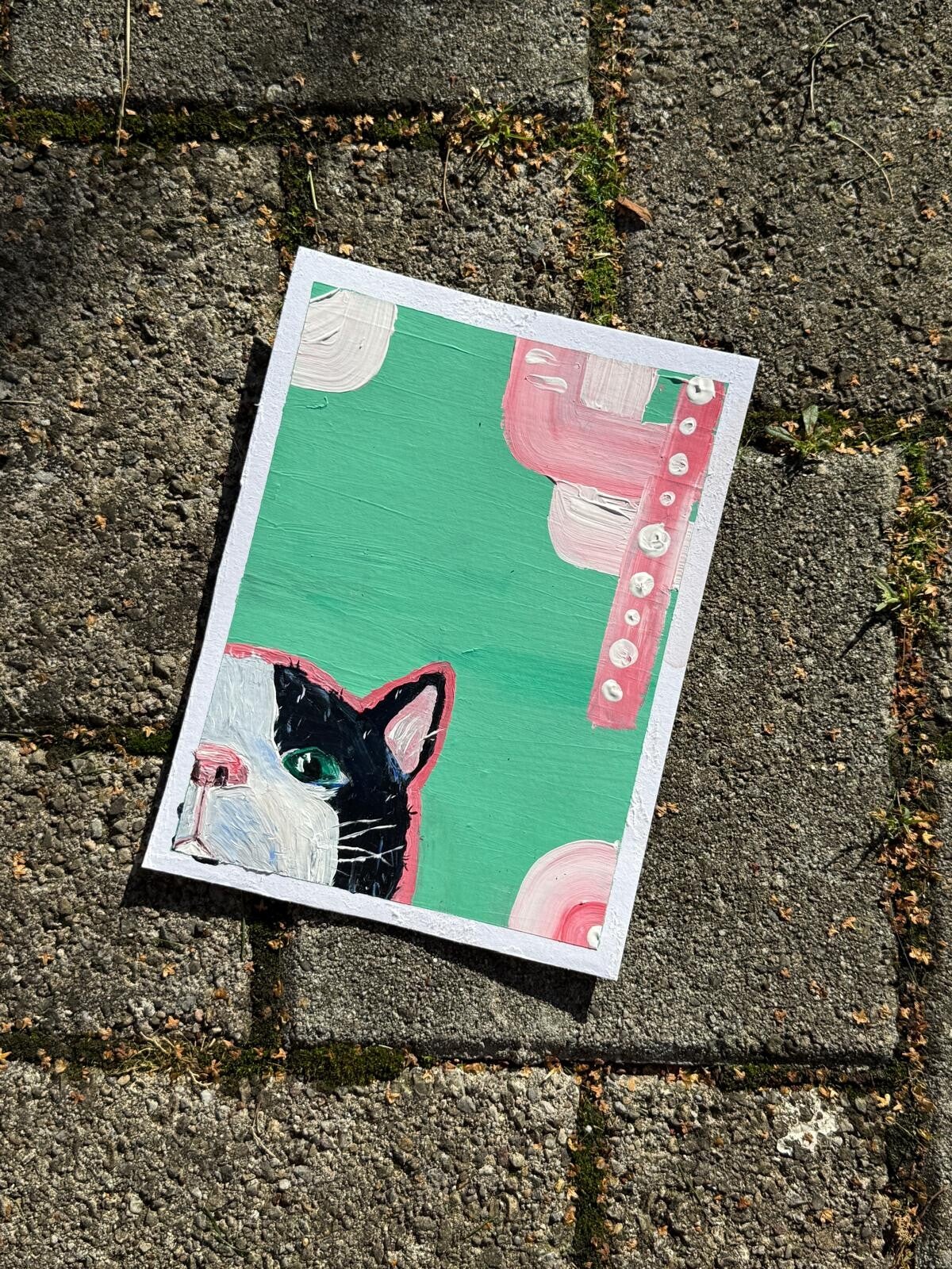 Le chat "Rosé"