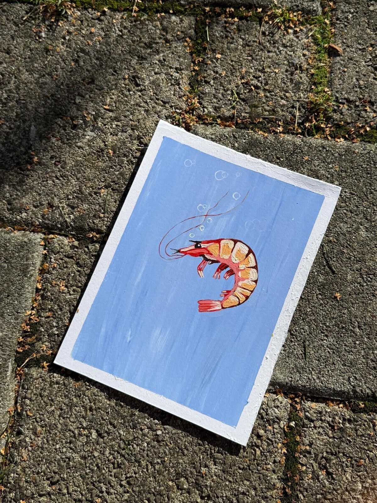 Mr. Shrimp