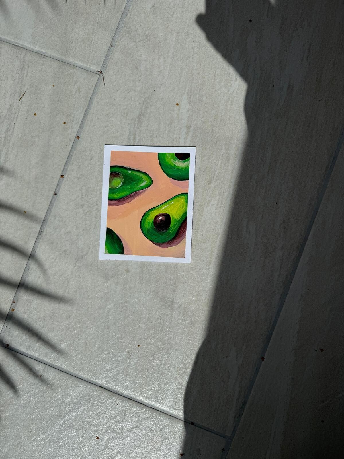 Avocado