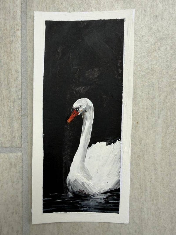 Schwan so wies wie Schnee.
