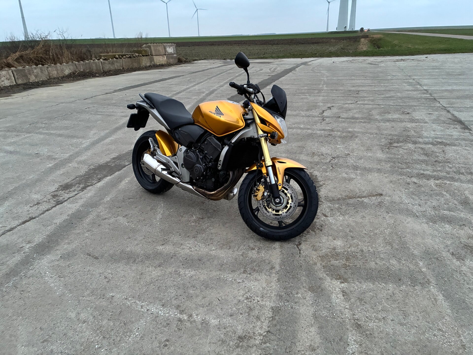 Honda CB600F Hornet ABS bj 2008 KM 10298