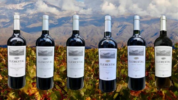 6 Bottle Mixed Case - Red Reservas