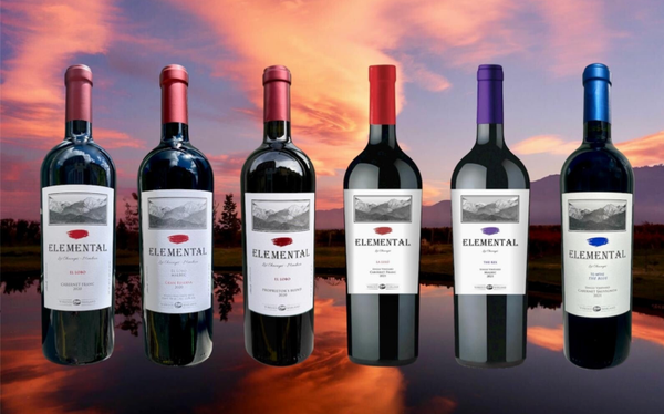 6 Bottle Mixed Case - The Icon Gran Reservas