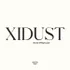 XiDust