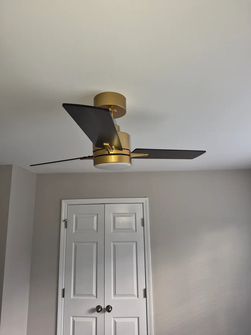 Modern black and gold ceiling fan installed on a white ceiling