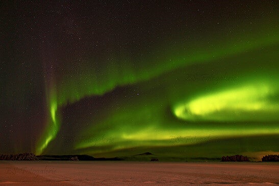 Polarlichter über Arjeplog – Nordlichter in Lappland Schweden