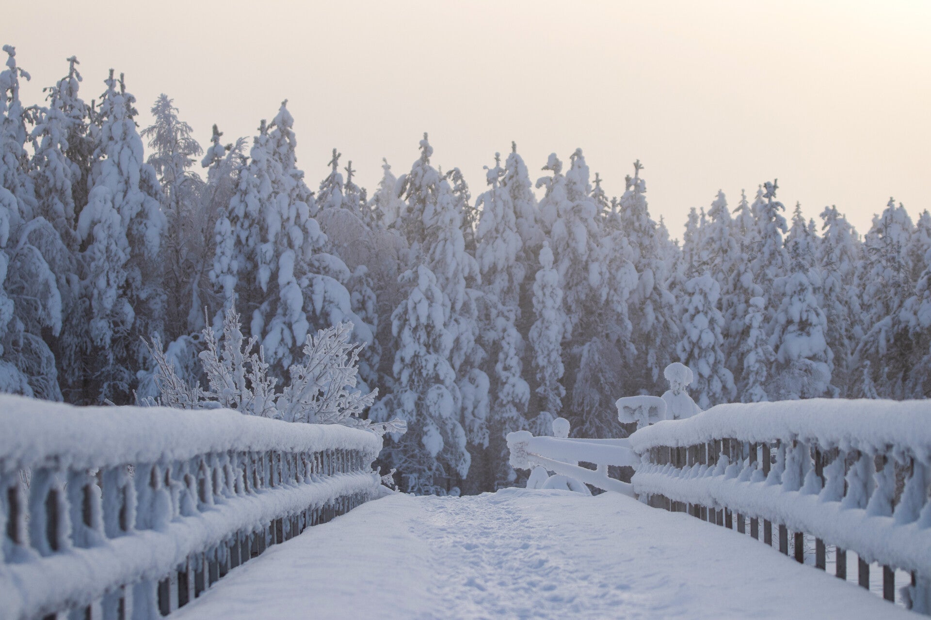 Verschneite Brücke im Winterwald von Arjeplog in Lappland