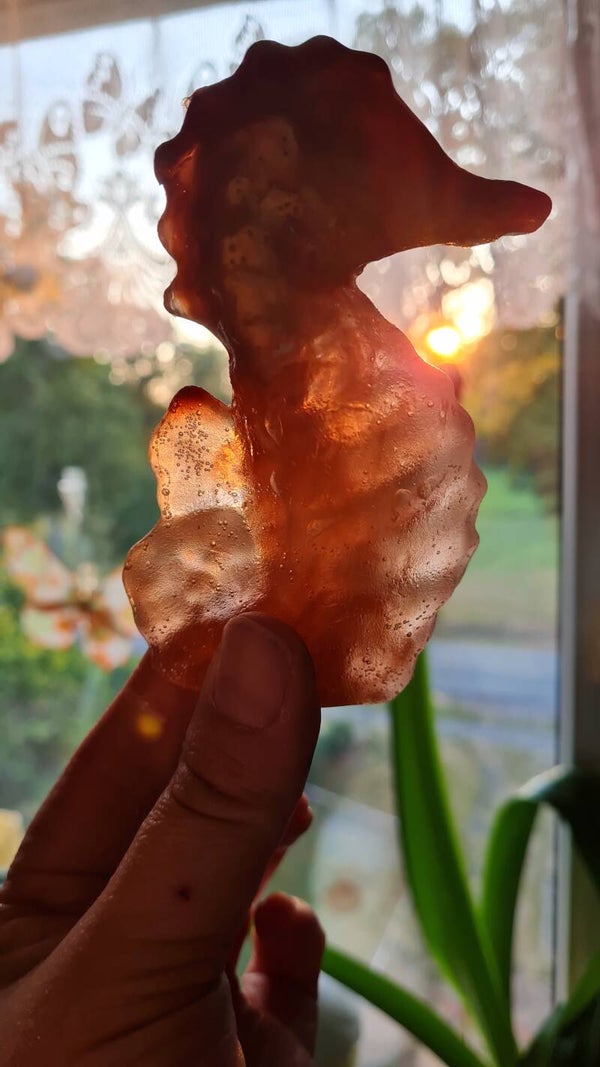 Seepferdchen Honey