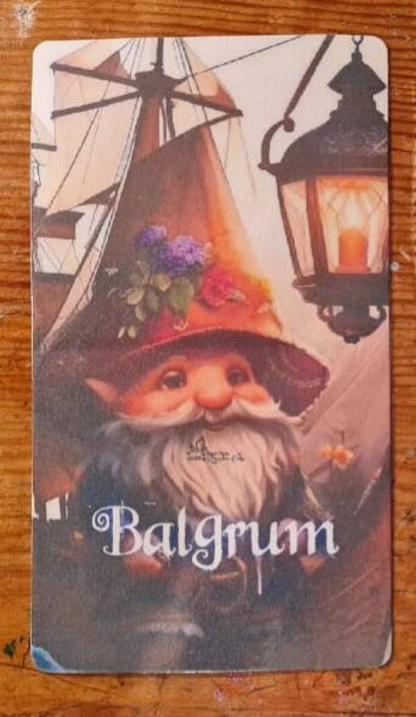 Magic pirates of the gnomes " Balgrum "