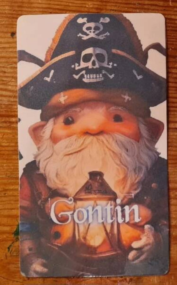 Magic pirates of the gnomes " Gontin "