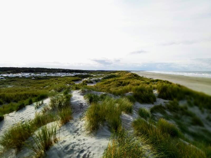 Duinoord achter de duinen