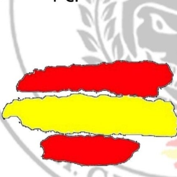 BANDERA DE ESPAÑA REFLECTANTE