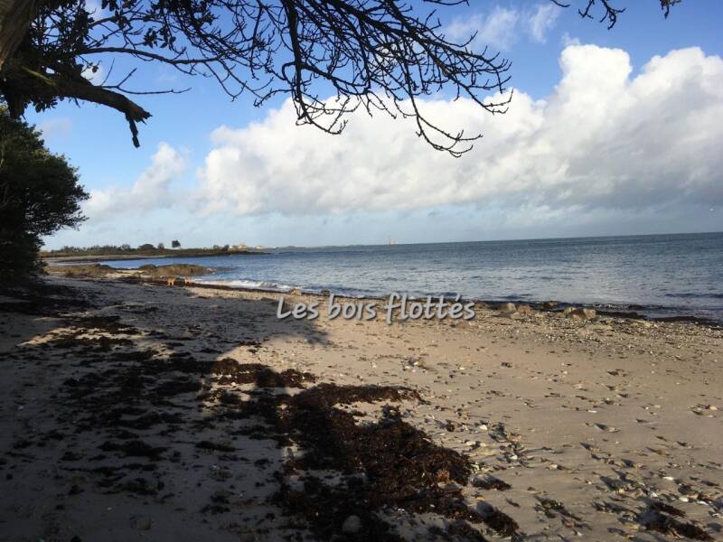 img-20260106-wa0095-standard-cvt4rh.jpg