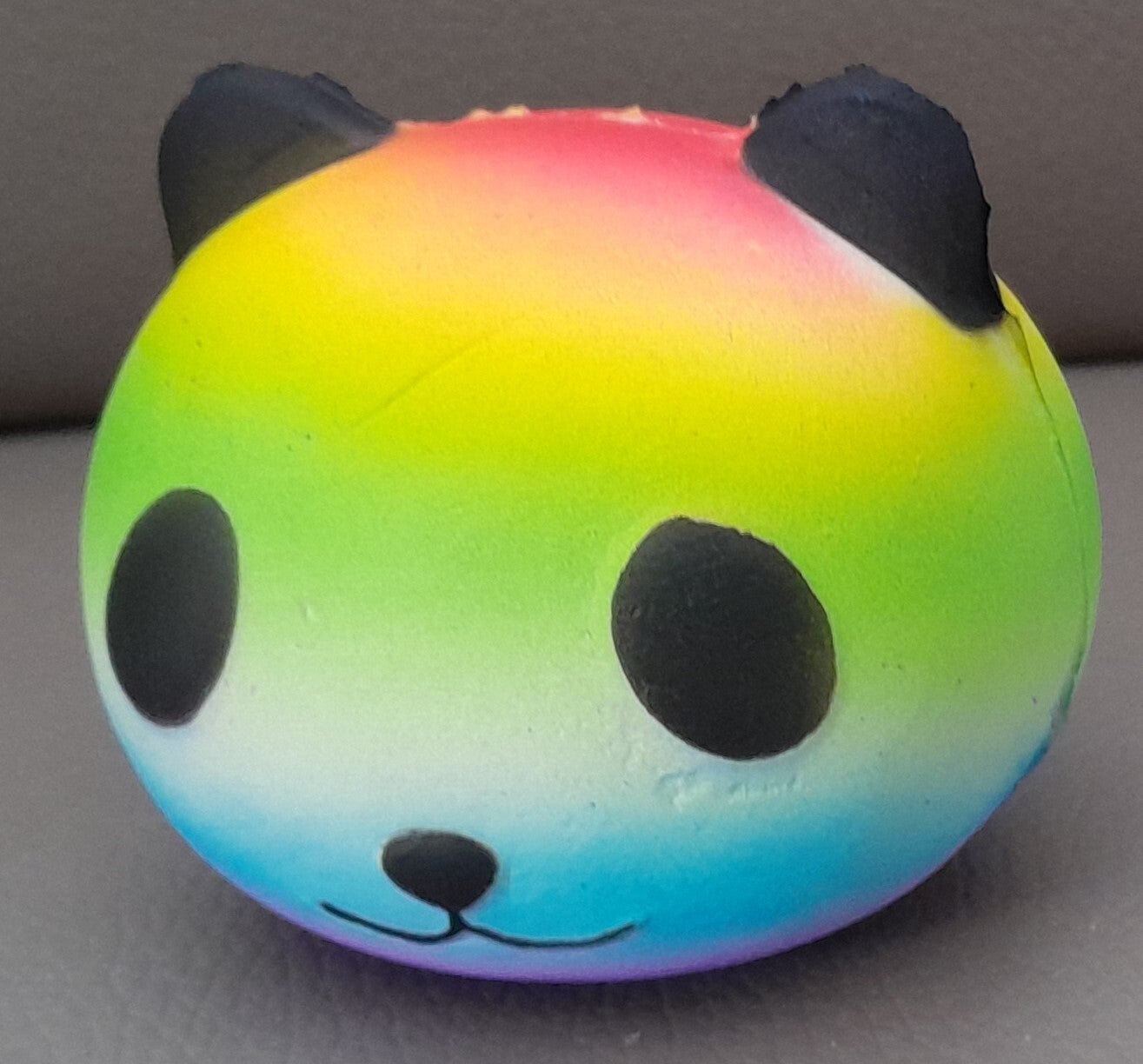 Kawaii Squishy Panda Regenboog