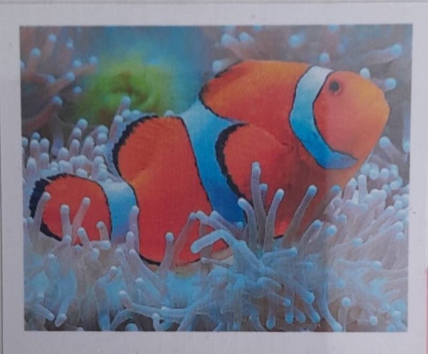 Diamond Painting - Ronde Steentjes - Vis - 40 x 30 Cm