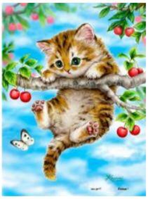 Diamond Painting - Ronde Steentjes - Kat - 30 x 20 Cm