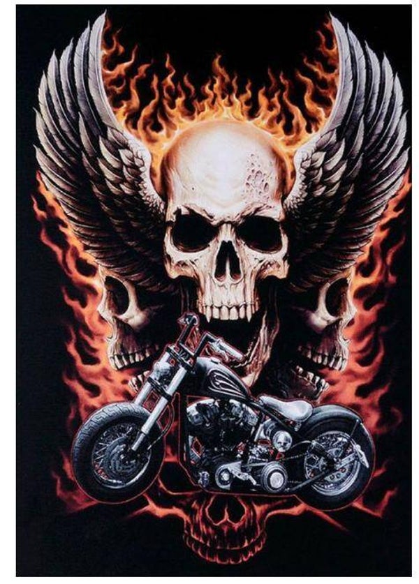 Diamond Painting - Ronde Steentjes - Skelet - 40 x 30 Cm