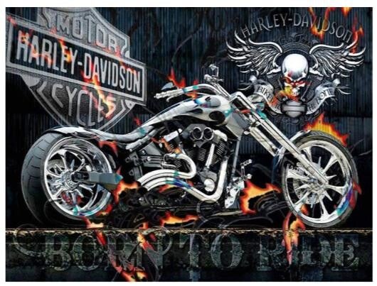 Diamond Painting - Ronde Steentjes - Harley - 50 x 40 Cm